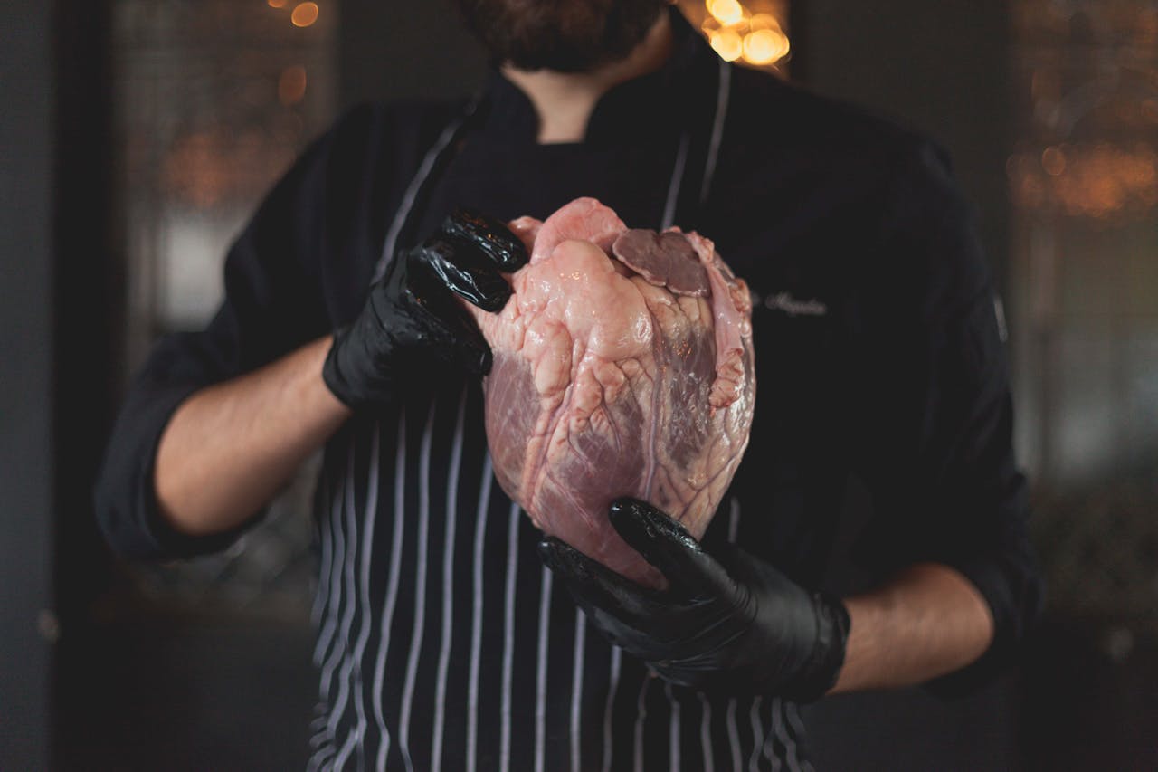 Close-up of a chef holding a raw heart while wearing gloves, captured indoors.